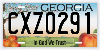 GA license plate CXZ0291