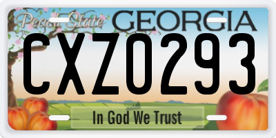 GA license plate CXZ0293