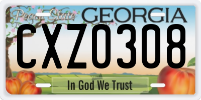 GA license plate CXZ0308