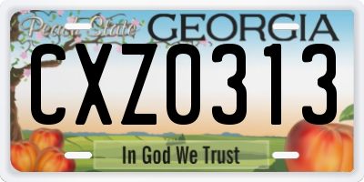GA license plate CXZ0313