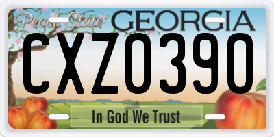 GA license plate CXZ0390