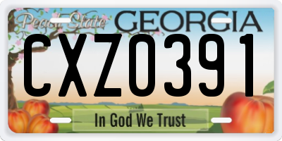 GA license plate CXZ0391