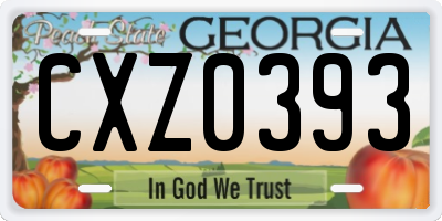 GA license plate CXZ0393