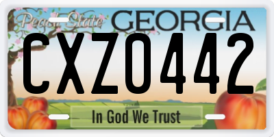 GA license plate CXZ0442