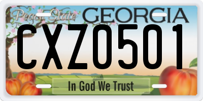 GA license plate CXZ0501