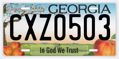 GA license plate CXZ0503