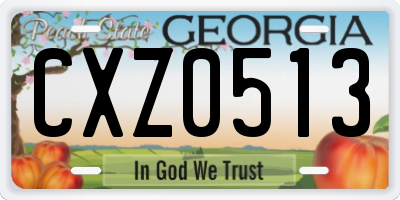 GA license plate CXZ0513