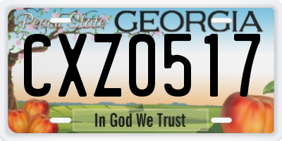 GA license plate CXZ0517