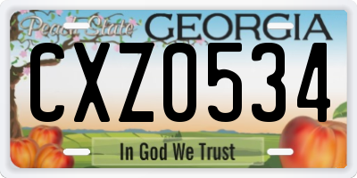 GA license plate CXZ0534