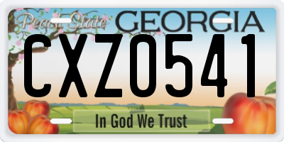 GA license plate CXZ0541