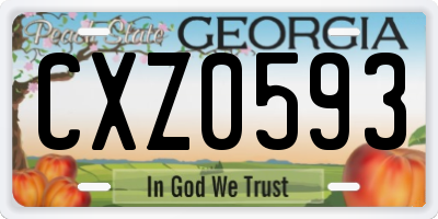 GA license plate CXZ0593