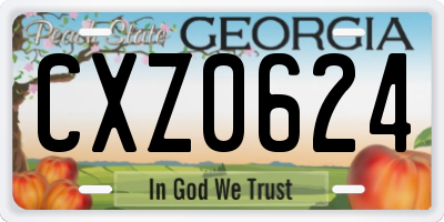 GA license plate CXZ0624