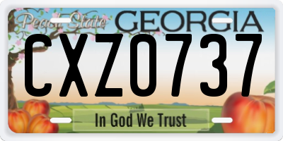 GA license plate CXZ0737