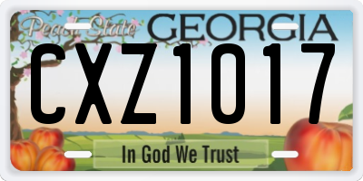 GA license plate CXZ1017