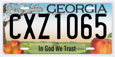 GA license plate CXZ1065
