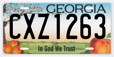 GA license plate CXZ1263