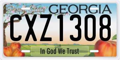 GA license plate CXZ1308