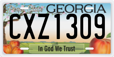 GA license plate CXZ1309