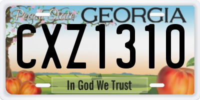GA license plate CXZ1310
