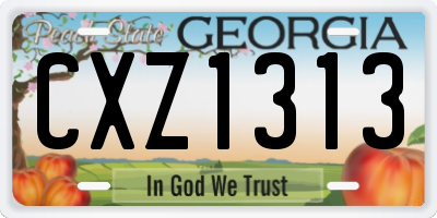 GA license plate CXZ1313