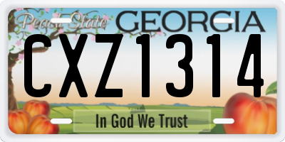 GA license plate CXZ1314
