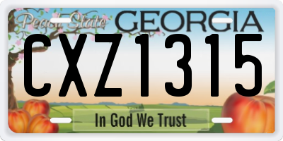 GA license plate CXZ1315