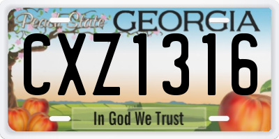 GA license plate CXZ1316