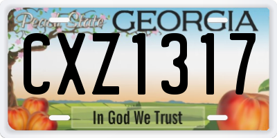 GA license plate CXZ1317