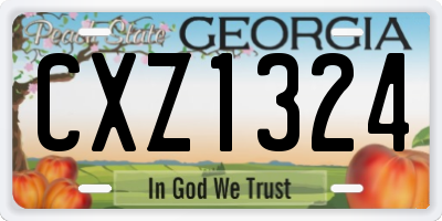 GA license plate CXZ1324