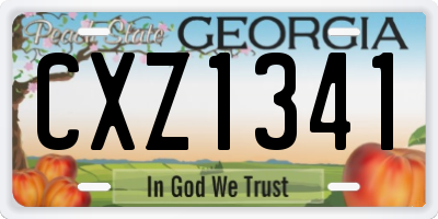 GA license plate CXZ1341