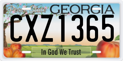 GA license plate CXZ1365