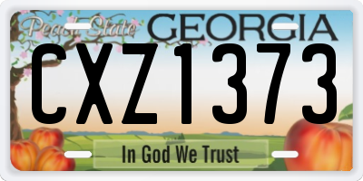 GA license plate CXZ1373