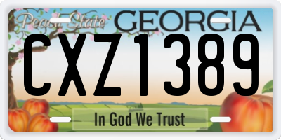 GA license plate CXZ1389