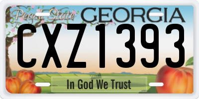 GA license plate CXZ1393