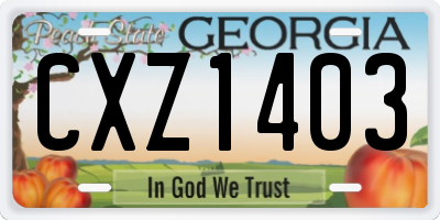 GA license plate CXZ1403