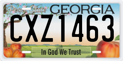 GA license plate CXZ1463