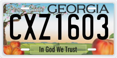 GA license plate CXZ1603