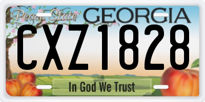 GA license plate CXZ1828