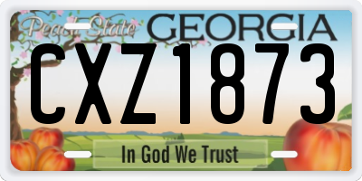 GA license plate CXZ1873