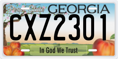 GA license plate CXZ2301
