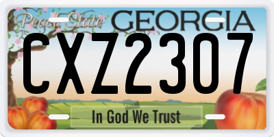 GA license plate CXZ2307