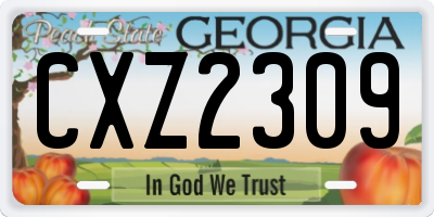 GA license plate CXZ2309