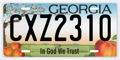 GA license plate CXZ2310