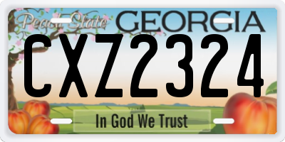 GA license plate CXZ2324