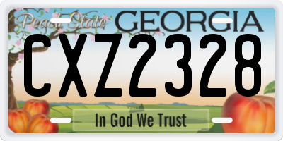 GA license plate CXZ2328