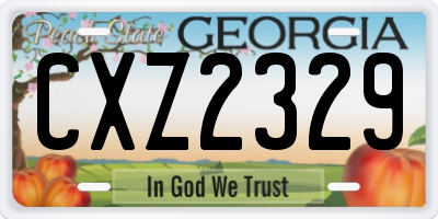 GA license plate CXZ2329