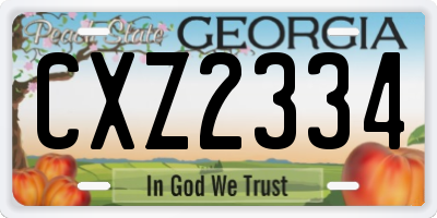 GA license plate CXZ2334