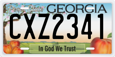 GA license plate CXZ2341