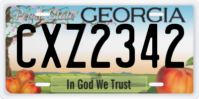 GA license plate CXZ2342