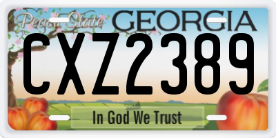 GA license plate CXZ2389